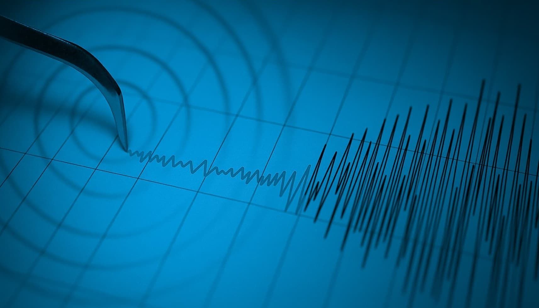 Seismic Monitor